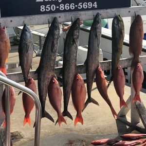 Meet your Posher, Gary